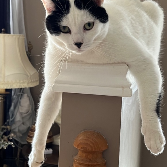 Meet your Posher, Susanne - Picture 11 of 16